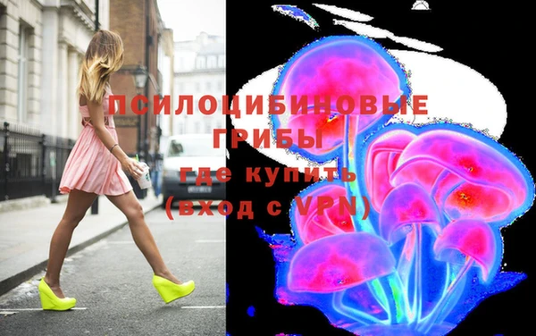 эйфоретик Арсеньев