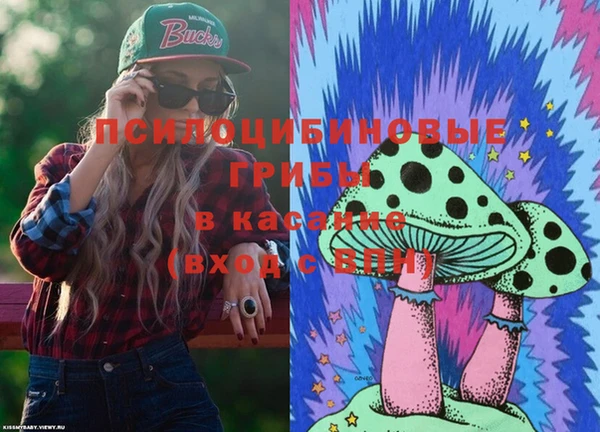 эйфоретик Арсеньев