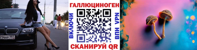 Галлюциногенные грибы Psilocybe  Купить где  Астрахань 